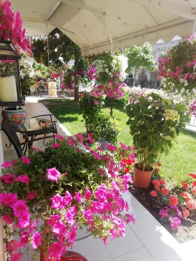 Christina Hotel Olympiakí Aktí Dış mekan fotoğraf
